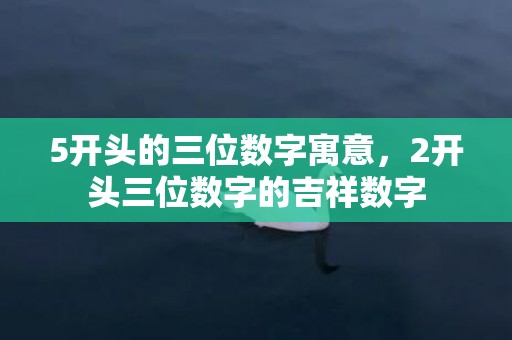 5开头的三位数字寓意，2开头三位数字的吉祥数字