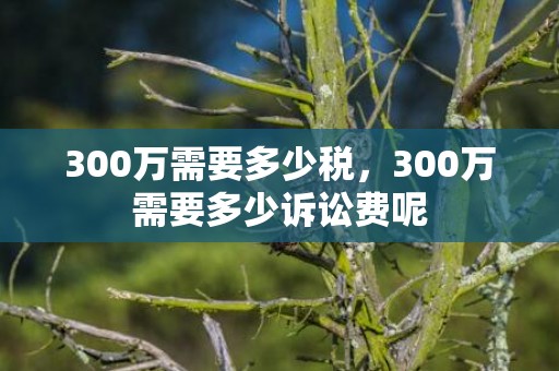 300万需要多少税，300万需要多少诉讼费呢