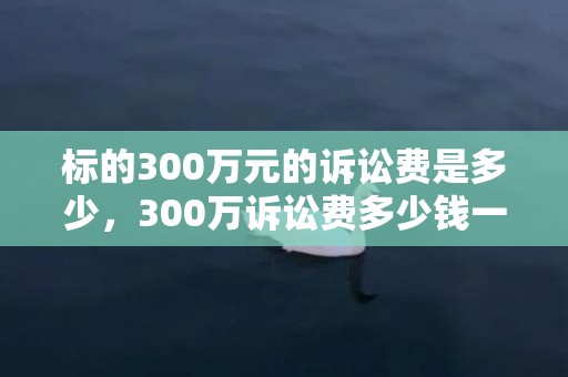 标的300万元的诉讼费是多少，300万诉讼费多少钱一次