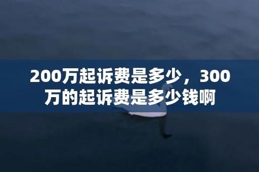 200万起诉费是多少，300万的起诉费是多少钱啊