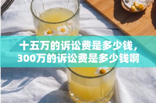 十五万的诉讼费是多少钱，300万的诉讼费是多少钱啊