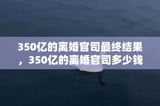 350亿的离婚官司最终结果，350亿的离婚官司多少钱啊