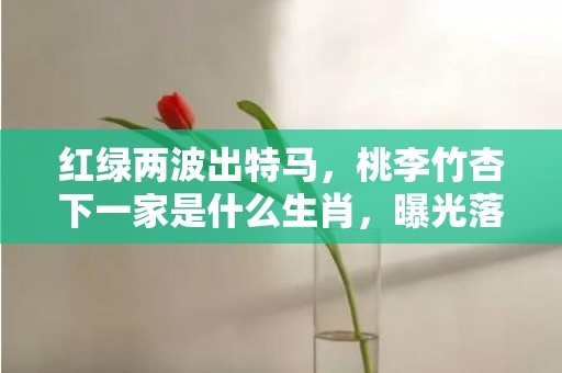 红绿两波出特马，桃李竹杏下一家是什么生肖，曝光落实