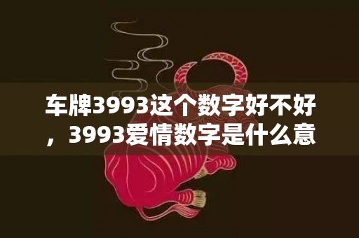 车牌3993这个数字好不好，3993爱情数字是什么意思