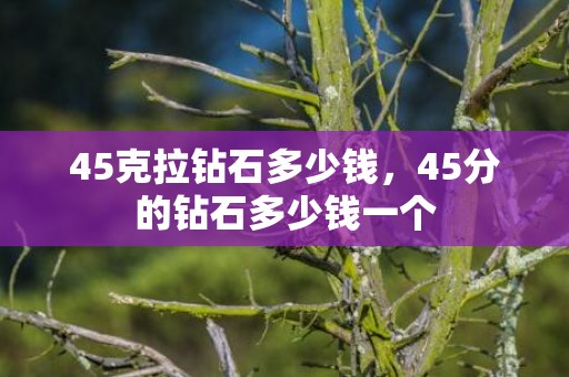 45克拉钻石多少钱，45分的钻石多少钱一个