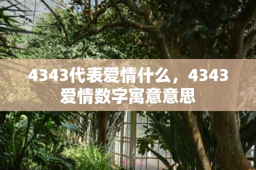 4343代表爱情什么，4343爱情数字寓意意思