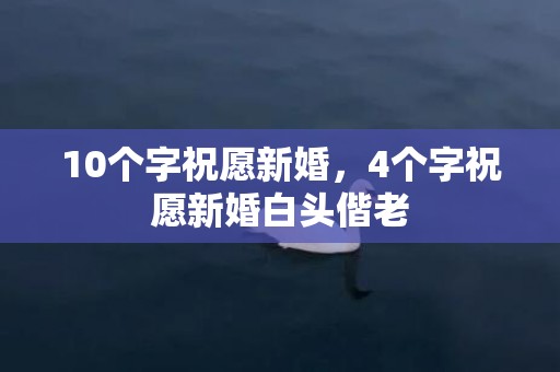 10个字祝愿新婚，4个字祝愿新婚白头偕老