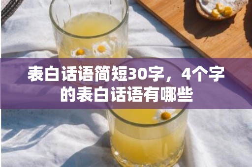 表白话语简短30字，4个字的表白话语有哪些