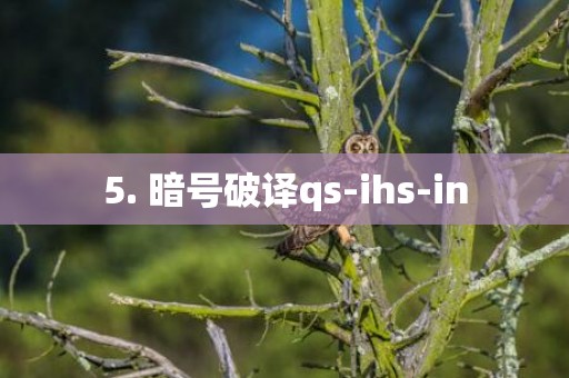 5. 暗号破译qs-ihs-in