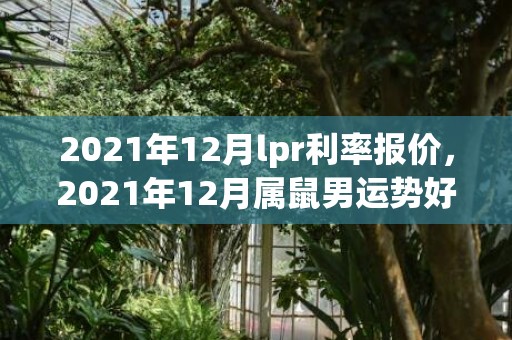 2021年12月lpr利率报价，2021年12月属鼠男运势好不好 财运受到影响