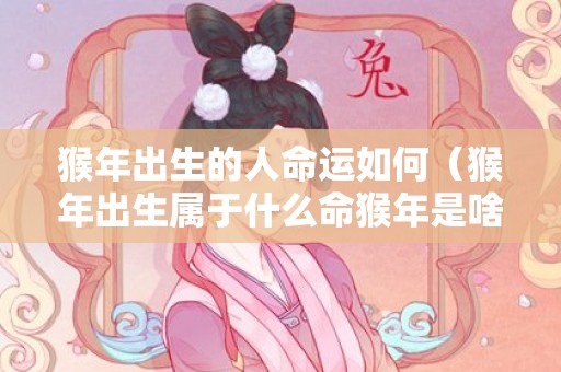 猴年出生的人命运如何（猴年出生属于什么命猴年是啥命）