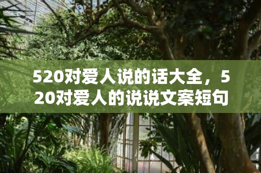 520对爱人说的话大全，520对爱人的说说文案短句