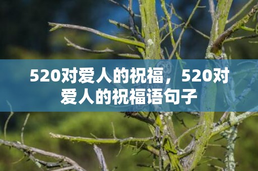 520对爱人的祝福，520对爱人的祝福语句子