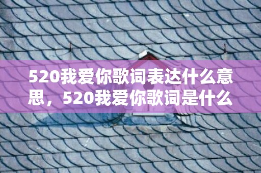 520我爱你歌词表达什么意思，520我爱你歌词是什么意思