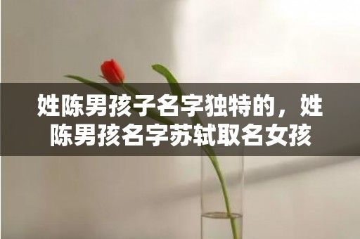 姓陈男孩子名字独特的，姓陈男孩名字苏轼取名女孩