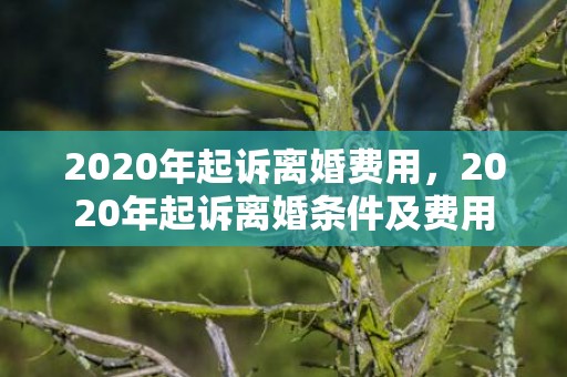 2020年起诉离婚费用，2020年起诉离婚条件及费用