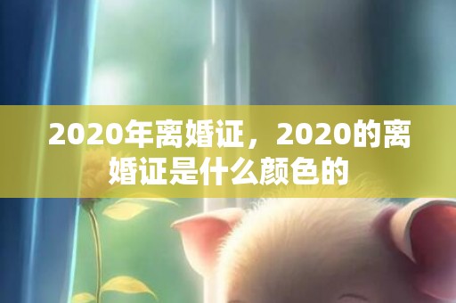 2020年离婚证，2020的离婚证是什么颜色的