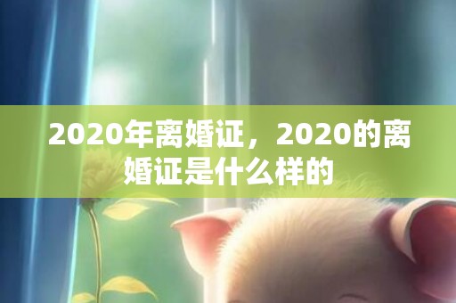 2020年离婚证，2020的离婚证是什么样的