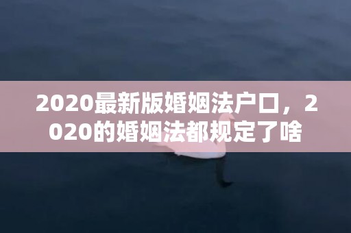 2020最新版婚姻法户口，2020的婚姻法都规定了啥