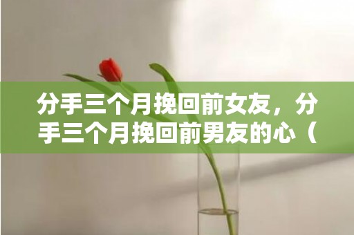 分手三个月挽回前女友，分手三个月挽回前男友的心（和前任分手三个月了）