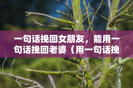 一句话挽回女朋友，能用一句话挽回老婆（用一句话挽回她的心）