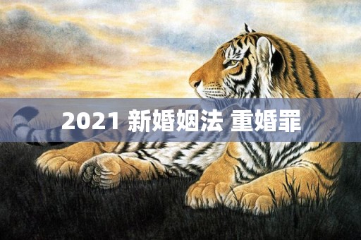 2021 新婚姻法 重婚罪