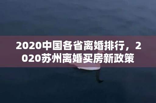 2020中国各省离婚排行，2020苏州离婚买房新政策