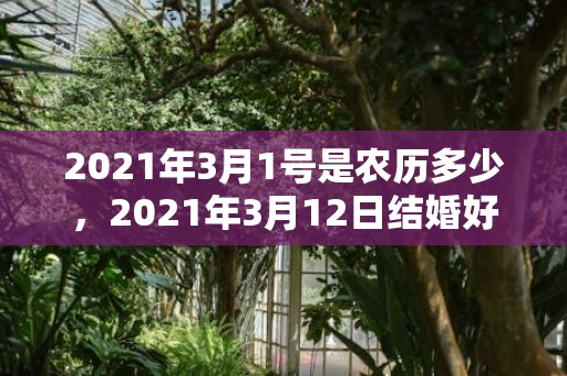 2021年3月1号是农历多少，2021年3月12日结婚好吗