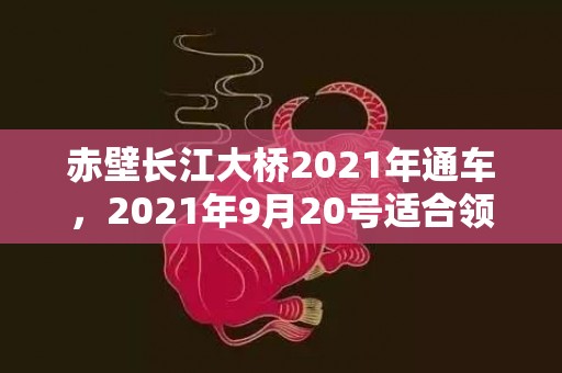 赤壁长江大桥2021年通车，2021年9月20号适合领证吗