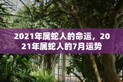 2021年属蛇人的命运，2021年属蛇人的7月运势