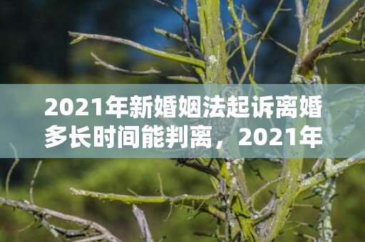 2021年新婚姻法起诉离婚多长时间能判离，2021年新婚姻法孩子抚养费