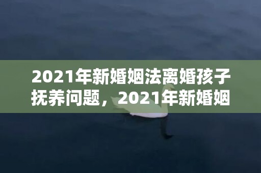 2021年新婚姻法离婚孩子抚养问题，2021年新婚姻法婚后房产