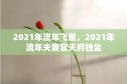 2021年流年飞星，2021年流年夫妻宫天府独坐