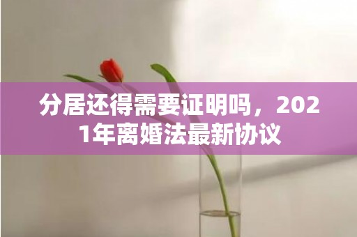 分居还得需要证明吗，2021年离婚法最新协议