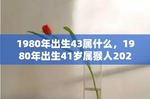 1980年出生43属什么，1980年出生41岁属猴人2021年夫妻感情容易破裂吗