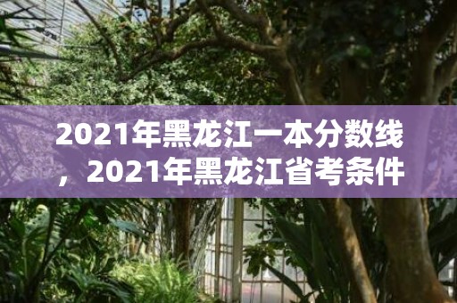 2021年黑龙江一本分数线，2021年黑龙江省考条件