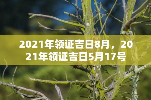 2021年领证吉日8月，2021年领证吉日5月17号