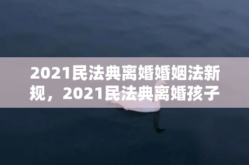 2021民法典离婚婚姻法新规，2021民法典离婚孩子抚养费