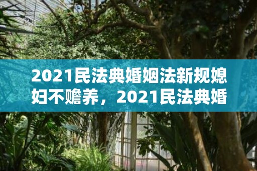 2021民法典婚姻法新规媳妇不赡养，2021民法典婚姻财产分割