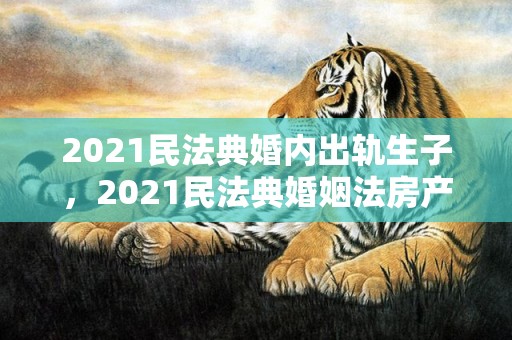 2021民法典婚内出轨生子，2021民法典婚姻法房产分割