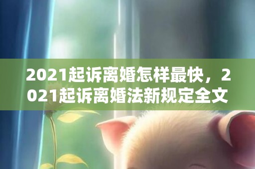 2021起诉离婚怎样最快，2021起诉离婚法新规定全文