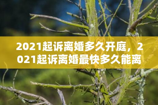 2021起诉离婚多久开庭，2021起诉离婚最快多久能离