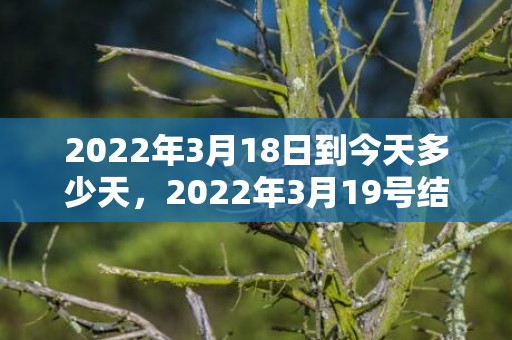 2022年3月18日到今天多少天，2022年3月19号结婚怎么样