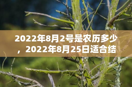 2022年8月2号是农历多少，2022年8月25日适合结婚吗