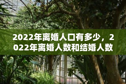 2022年离婚人口有多少，2022年离婚人数和结婚人数