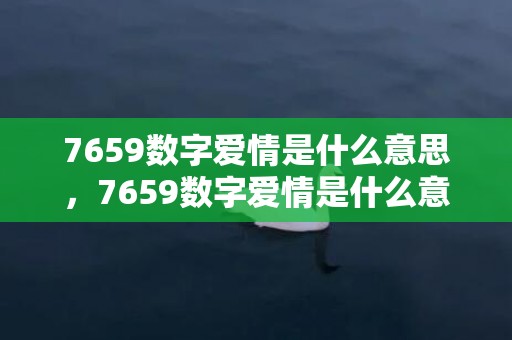 7659数字爱情是什么意思，7659数字爱情是什么意思