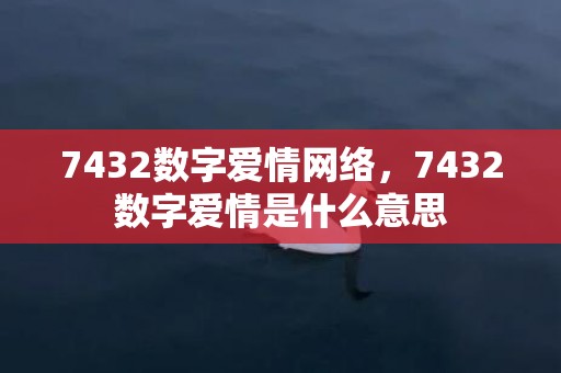 7432数字爱情网络，7432数字爱情是什么意思