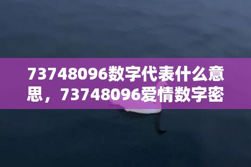 73748096数字代表什么意思，73748096爱情数字密码