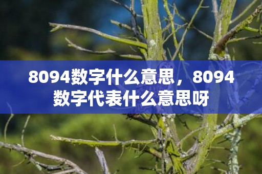 8094数字什么意思，8094数字代表什么意思呀