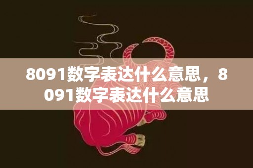 8091数字表达什么意思，8091数字表达什么意思